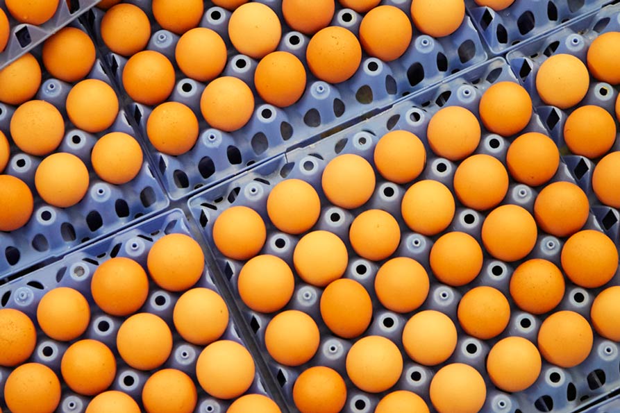 Dozens of brown eggs are neatly arranged in blue plastic egg trays.