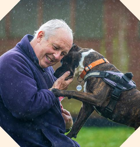 A smiling older man lovingly embraces a brindle and white dog outdoors during a light rain shower.