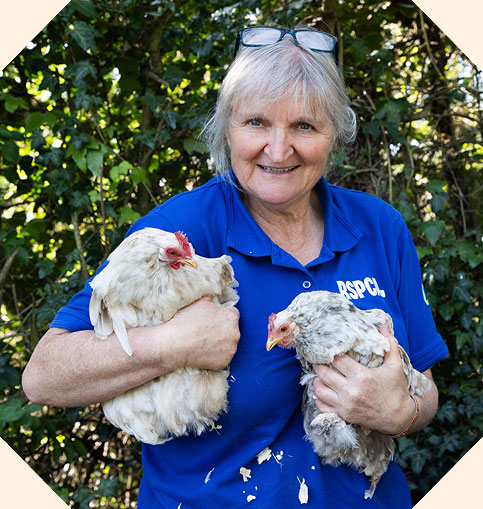 A smiling RSPCA staff member holds two white and grey speckled chickens outdoors.