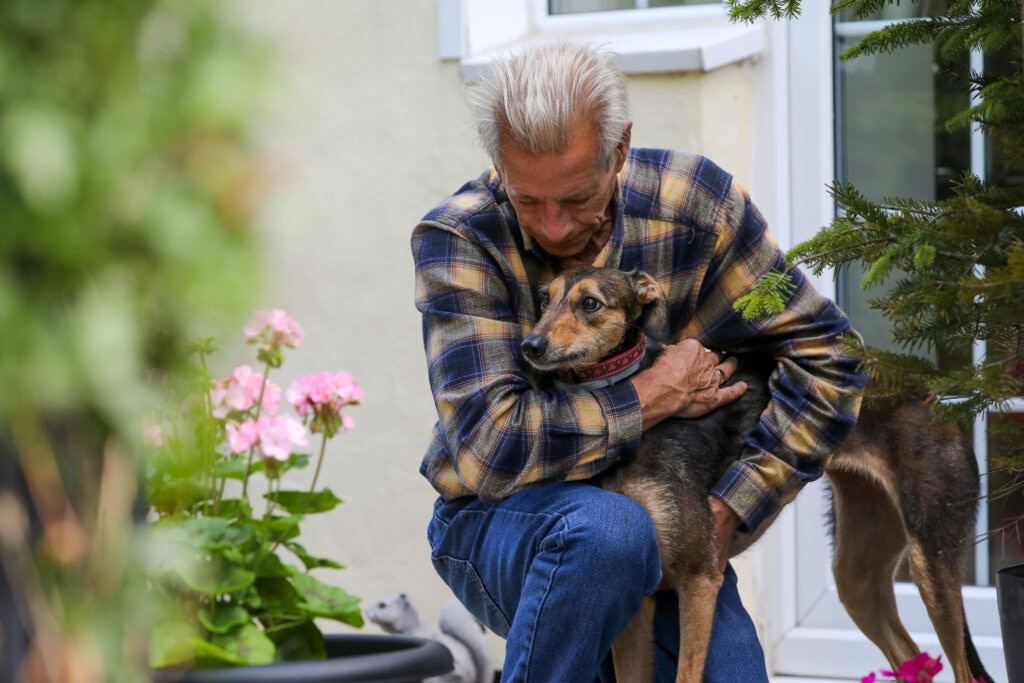 A black and brown lurcher being hugged by their owner.