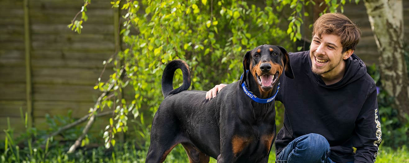 A smiling young man crouches outdoors next to a happy doberman dog wearing a blue RSPCA collar.