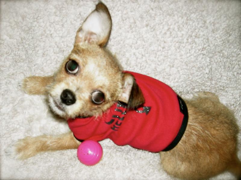 Chester